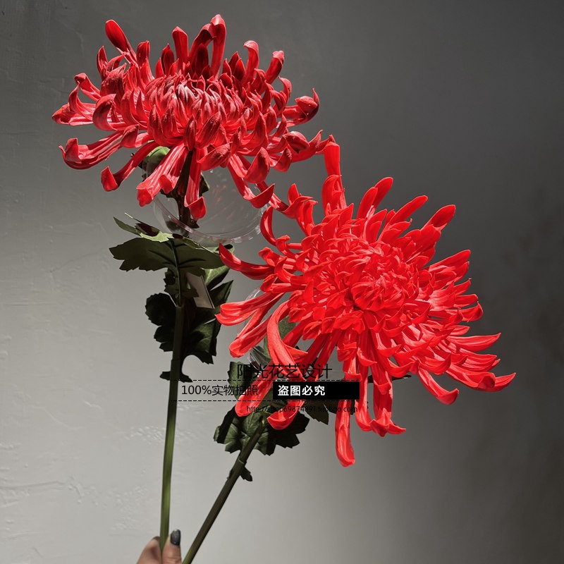 手感花高级菊花束凤尾菊秋菊