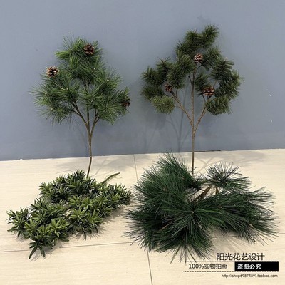 高品质造景装饰绿植马尾松