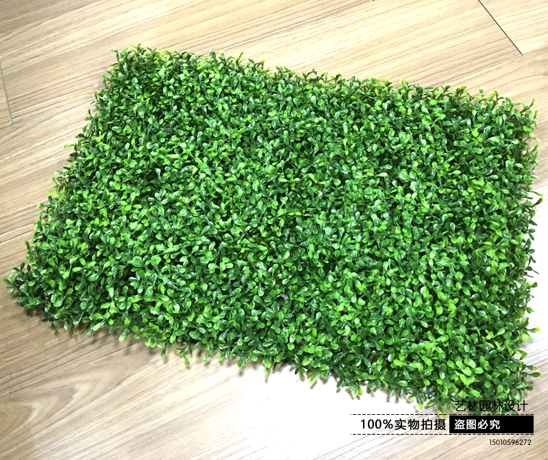 仿真花生草草坪紫花生绿花生豆瓣草草坪塑料草坪杂草绿植墙装饰