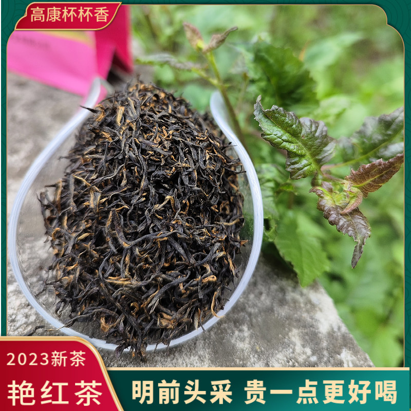 红茶2023年新茶明前嫩芽特级清香型贵州高山红茶厂家直销袋装100g