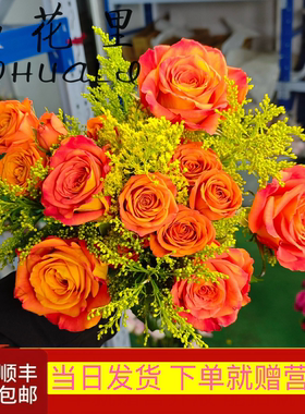 顺丰包邮心想事“橙” 橙色系玫瑰混搭鲜花花束新年家庭插花瓶
