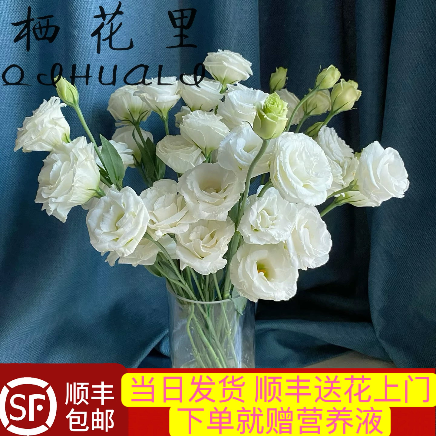 当日顺丰发货15-18朵花白色多头洋桔梗云南鲜切花顺丰包邮次日达