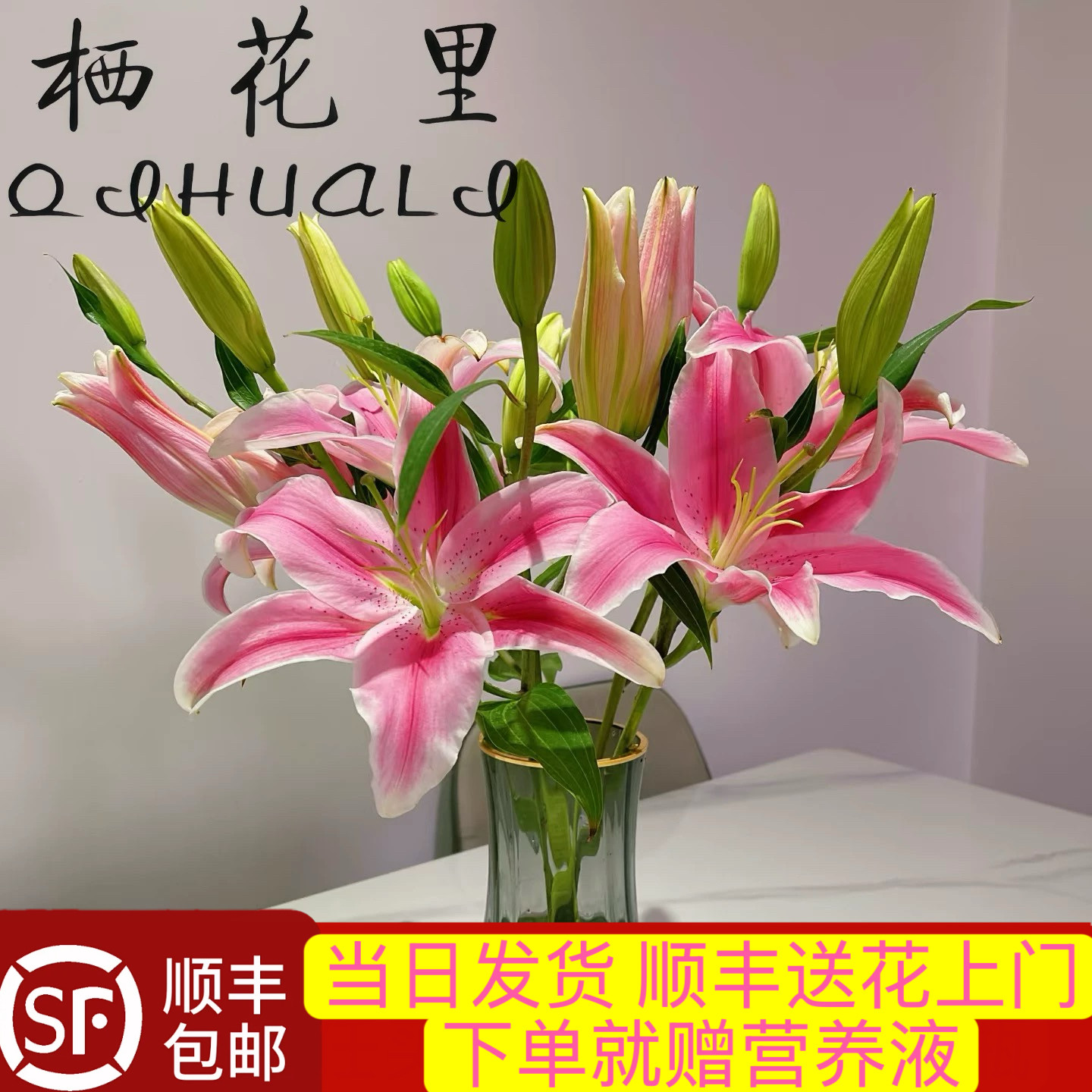 当日发货粉色香水百合（花苞发货）云南鲜切花顺丰包邮送货上门