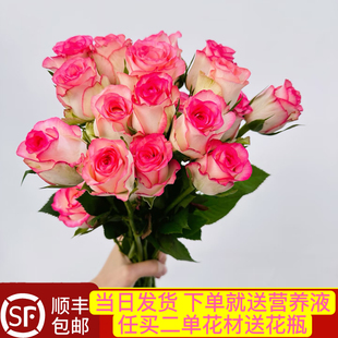 当日顺丰发货10支艾莎公主玫瑰爱莎小公主鲜切花顺丰包邮送花上门