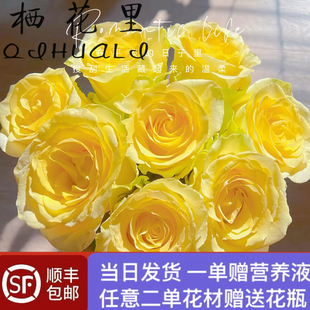当日顺丰发货 浪漫沙滩黄色系单头玫瑰顺丰包邮家居鲜花送货上门