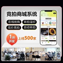 竞拍系统源码APP溢价商城小程序抢购寄卖转售拍卖H5网站开发搭建