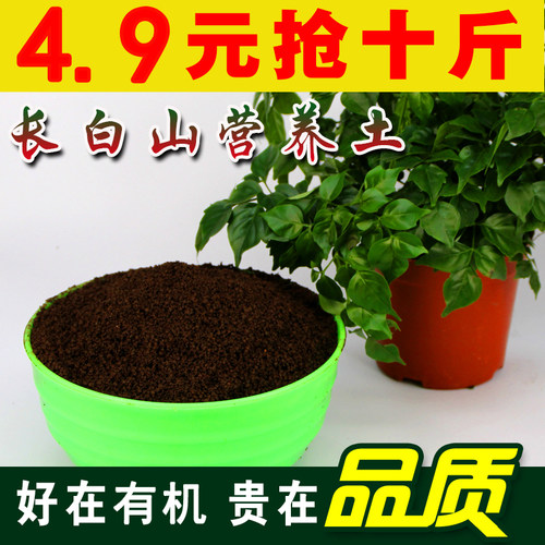 营养土有机土种花种菜通用土壤