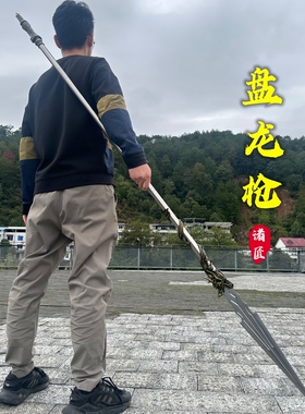 龙泉盘龙枪一体锰钢高锰钢户外防身冷兵器车载防身宝剑未开刃