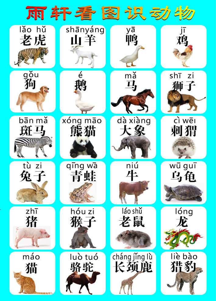 585画布海报展板喷绘素材贴纸494幼儿启蒙看图识动物