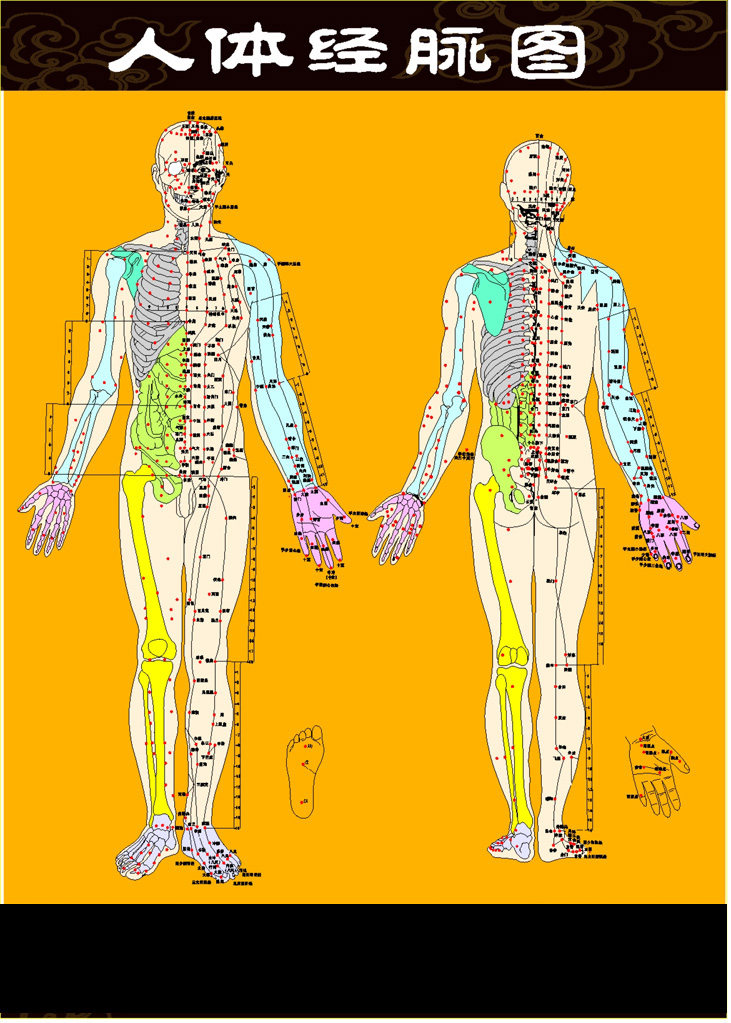 338居家海报展板喷绘贴纸图片144人体经脉图 脚坊