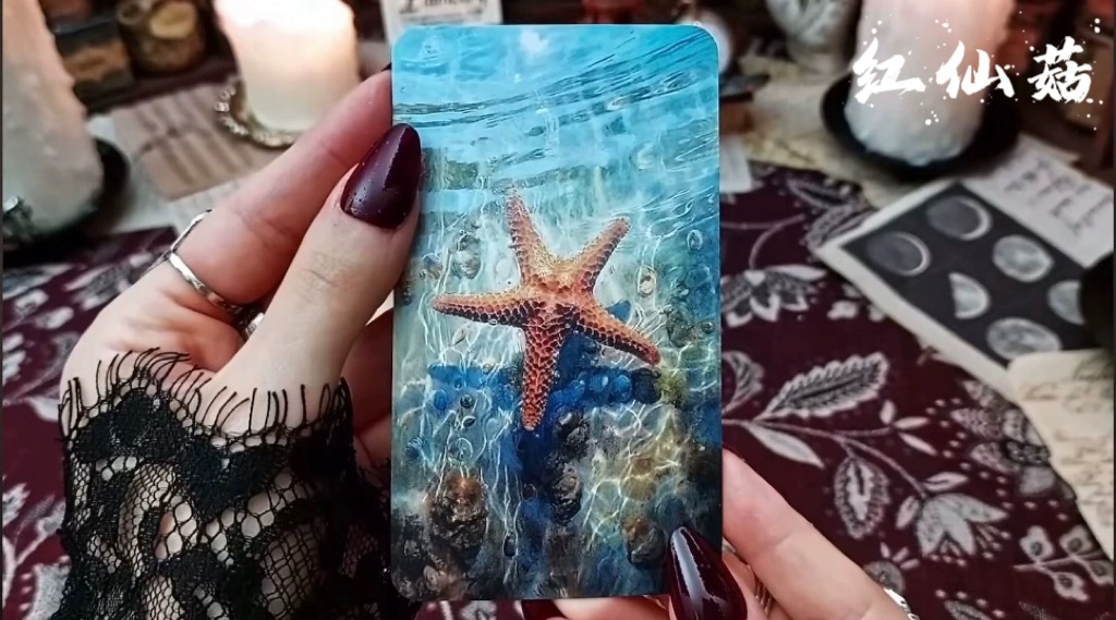 RedFairy荒野低语动物神谕卡