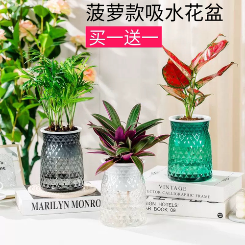 轻奢仿玻璃透明可视水位树脂花盆