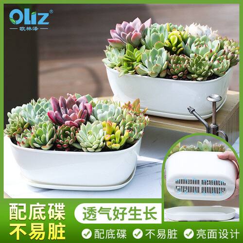 跨境多肉花盆塑料大口径花盆