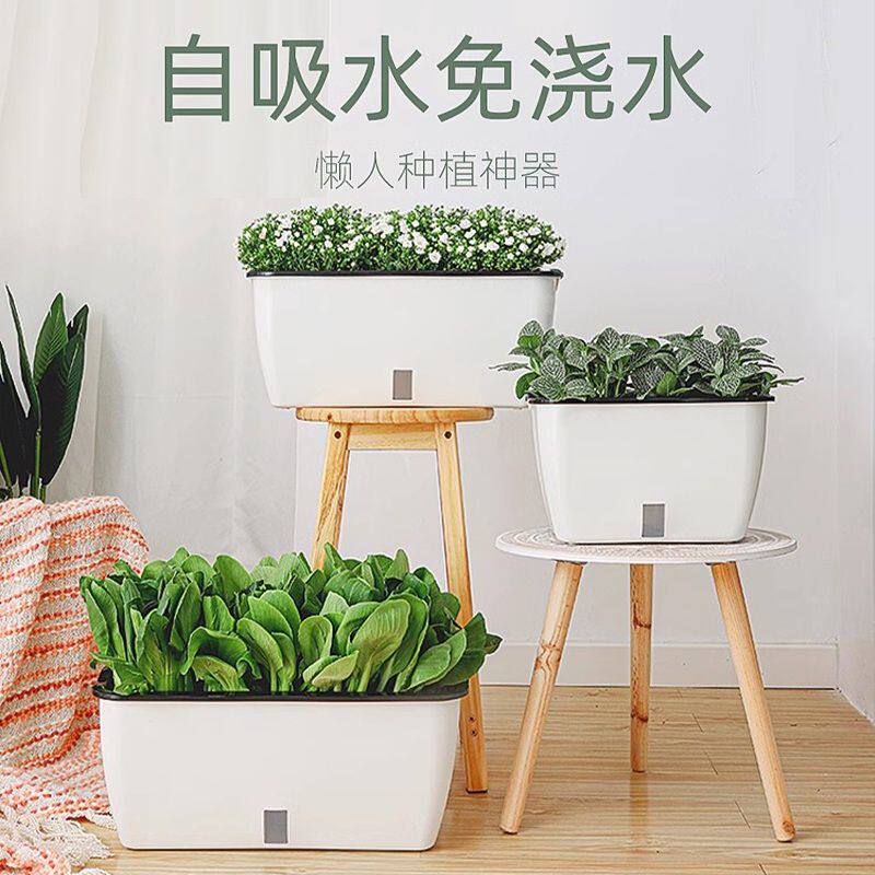 欧林泽种懒人吸水盆菜盆简约种菜专用盆大容量阳台种菜盆楼顶专用