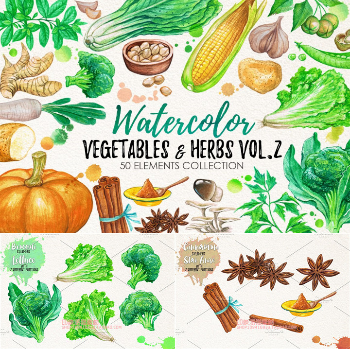 PS-162平面设计素材高清水彩绿色蔬菜玉米调料八角生姜土豆png