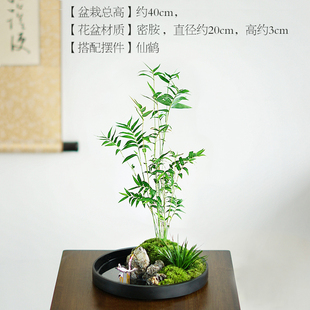 促文竹盆栽造型室内办公室茶台桌面苔藓摆件日式 竹子小盆景新 中式