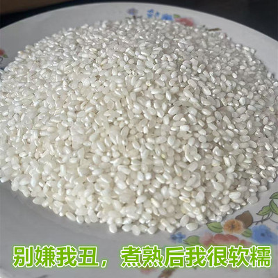 如皋陈奶奶乡下大米苏北圆粒米新鲜当季软糯香口感有腹白粳米新米
