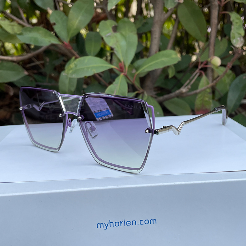 海俪恩太阳镜墨镜N8220