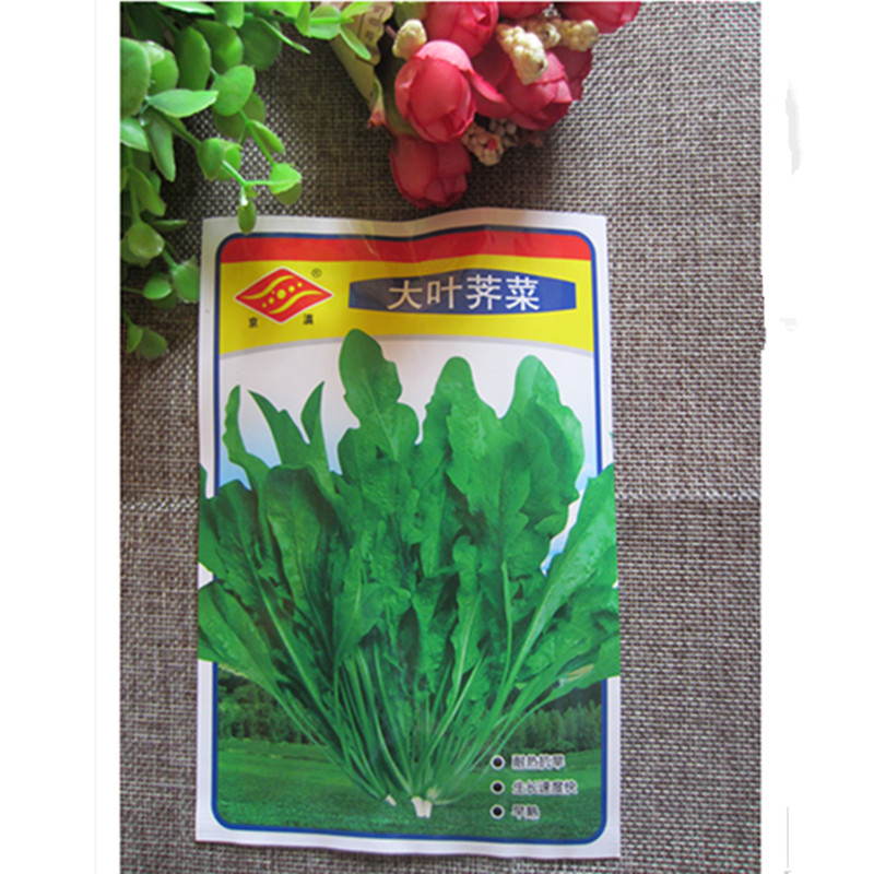 云南蔬菜种子包邮大叶荠菜20克昆明品种及及菜籽阳台花盆播买2送1