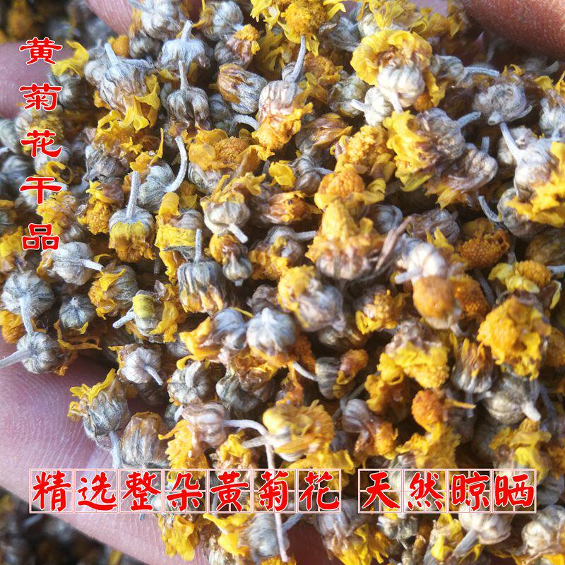 黄菊花根 野山菊纯根 现采新鲜黄菊花鲜花 苦菊根 中药材野山菊苗