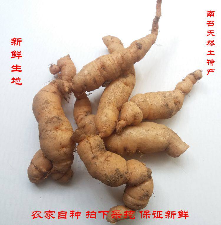 怀地黄河南特产地新鲜斤包邮生地