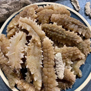 野生海参干货黄玉海参 孕妇级特价正宗刺参纯淡干海参秃参非辽参