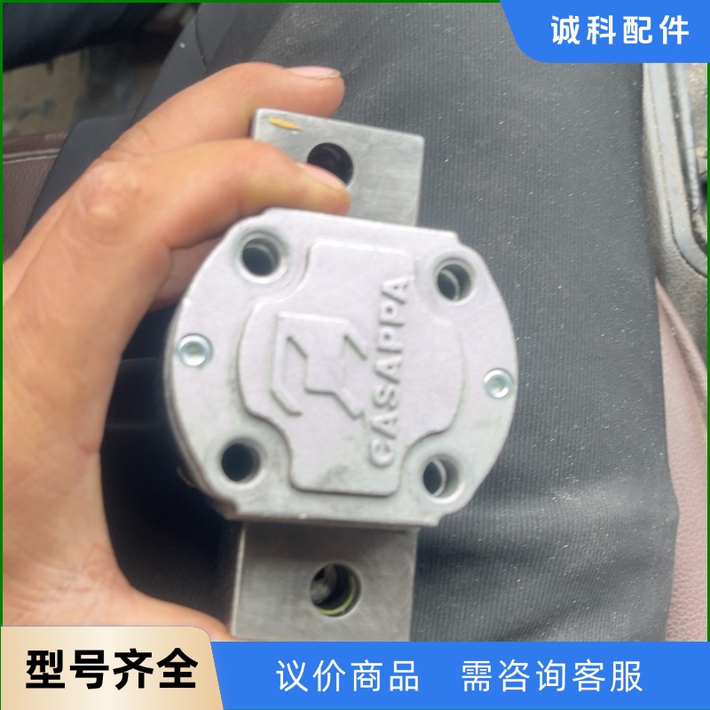 GASAPPA油泵。 PLP10.6 3D0-30K2-LB-【议价】