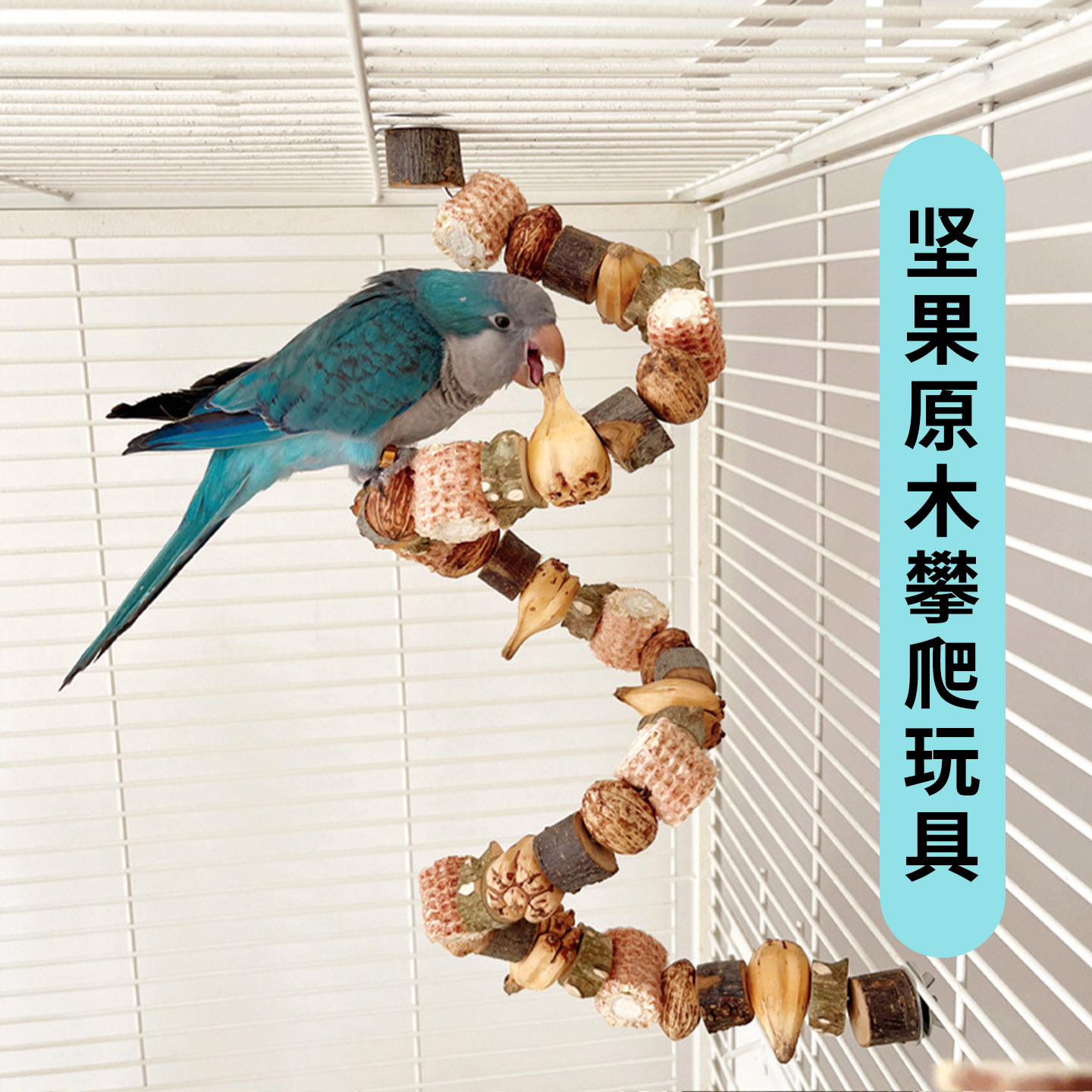 鹦鹉天空啃咬坚果攀爬鸟玩具
