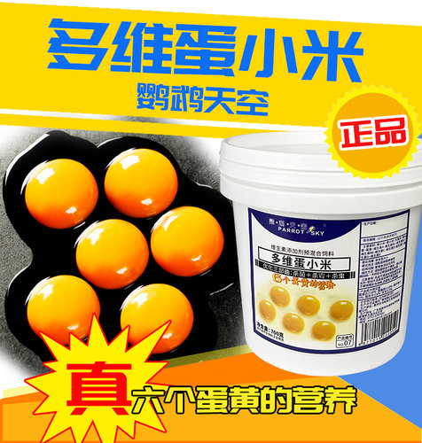 鹦鹉天空鹦鹉蛋小米繁殖换羽营养