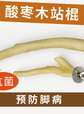 鹦鹉天空磨爪站棍鹦鹉磨爪棒站杆