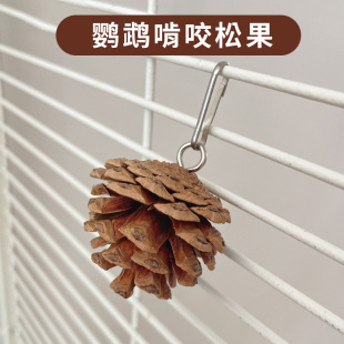 鹦鹉啃咬玩具 鸟类笼内磨牙松球松果玄凤牡丹玩耍磨喙悬挂A57