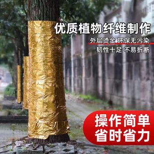 植物纤维树干保温保湿带金色包树装饰缠绕带环保无污染