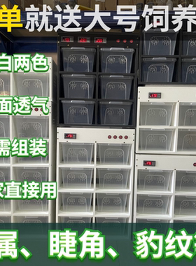 R属睫角大号饲养盒抽屉柜PVC智能恒温蛇柜爬宠柜守宫蜘蛛角蛙乌龟