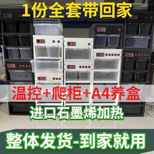 爬柜竖款 抽屉柜爬宠宠物温控加热饲养盒A4A6pvc透气守宫角蛙保温