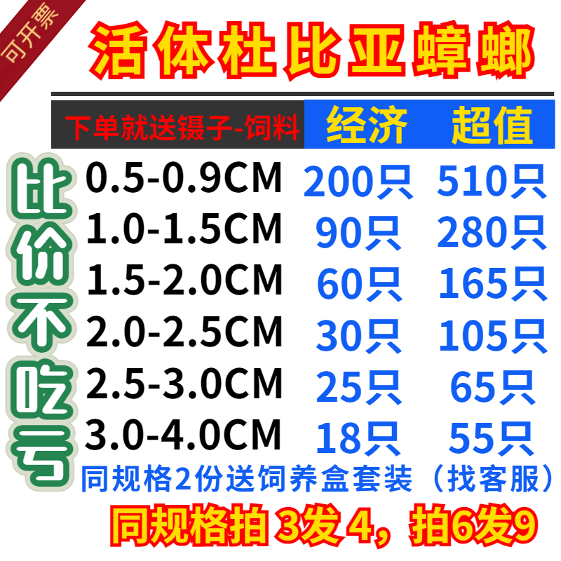 芦丁鸡杜比亚活体龙鱼蜥蜴饲料