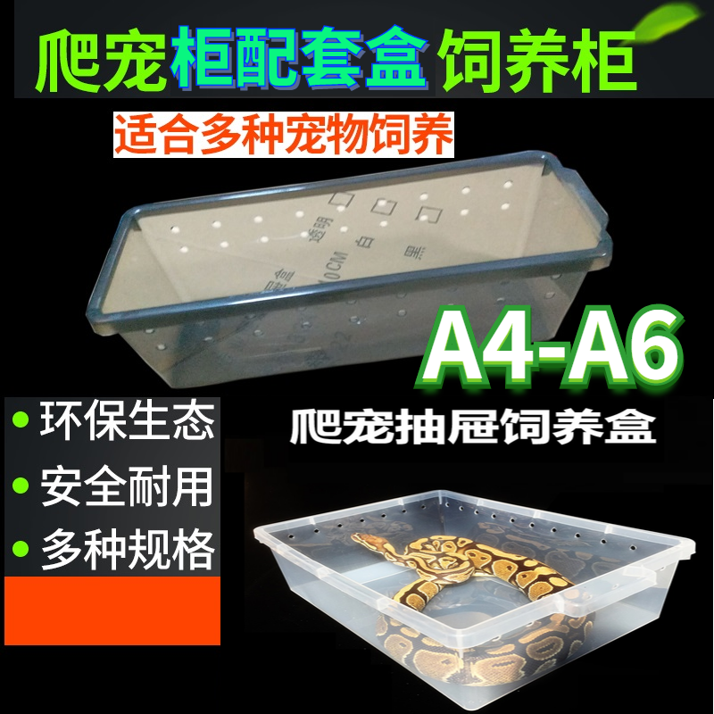 a3a6爬虫爬宠饲养盒A4豹纹守宫