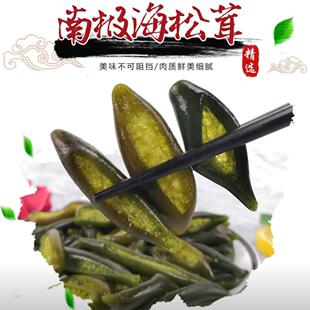 南极海松茸新鲜海笋凉拌冷冻原味海茸火锅下饭菜饭店商用