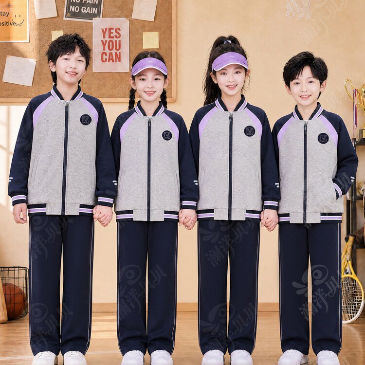 沈阳市小学生统一校服第二款春秋班服外套长袖长裤两件套装灰紫色