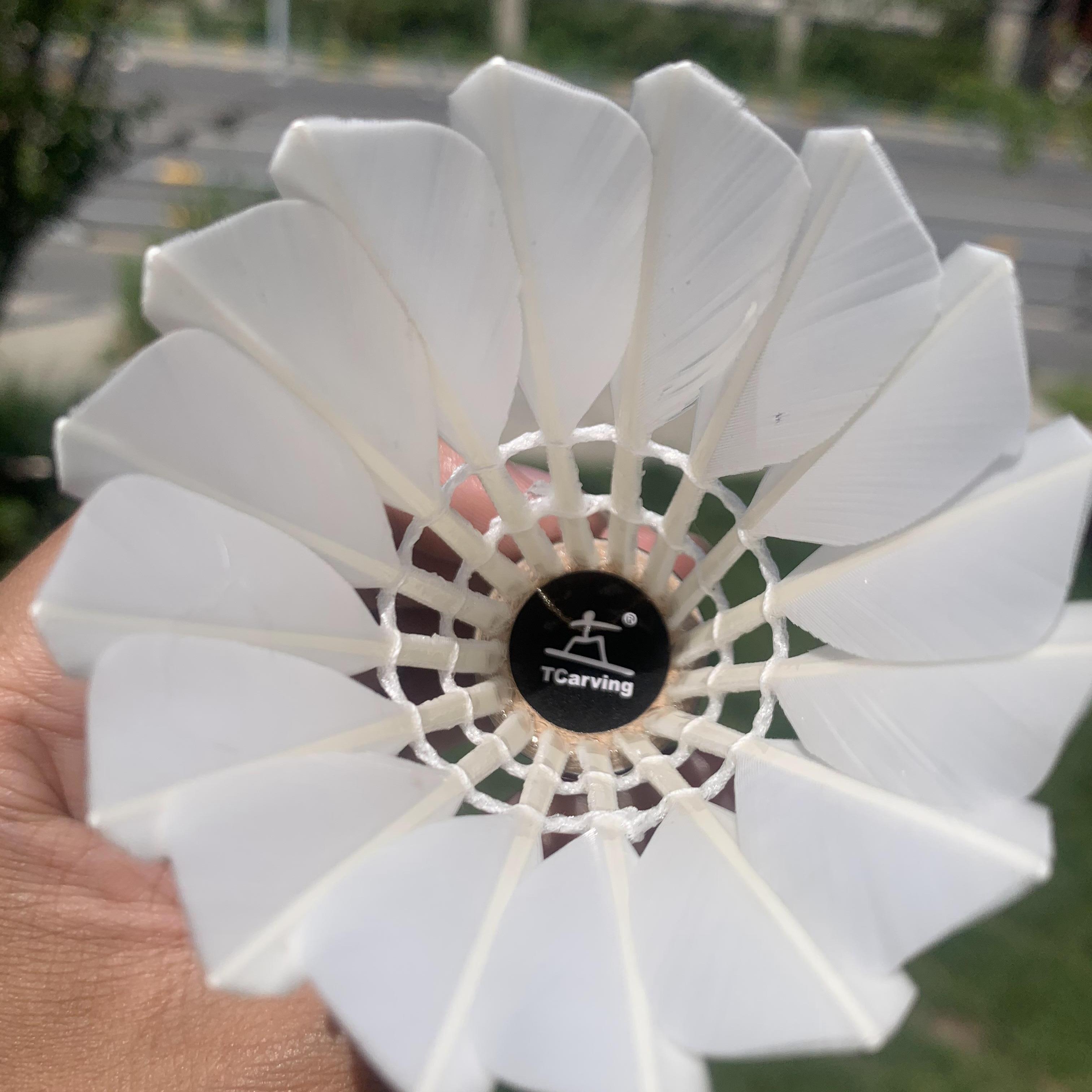 TCarvig羽毛球T1鸭单边耐打口粮