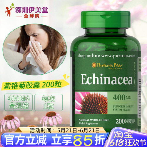 美国普丽普莱紫锥菊松果菊免疫力