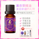 伊帕尔汗薰衣草精油舒缓天然新疆单方精油淡化修复助睡眠全身按摩