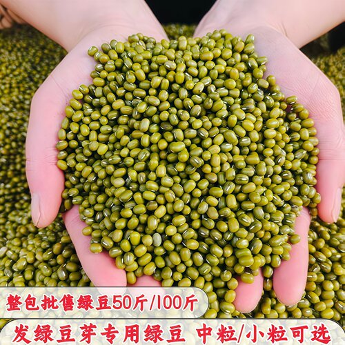 新绿豆发豆芽专用绿豆生绿豆芽绿豆绿豆芽国产绿豆绿豆批发50斤装