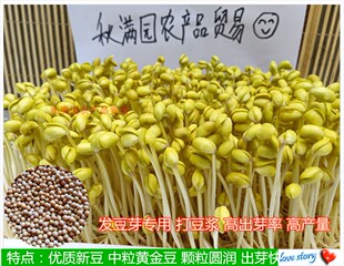 发豆芽黄豆生黄豆芽专用自种农家新豆种子打豆浆芽苗黄豆5斤 包邮