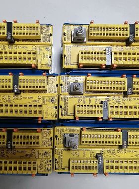 德国DINA 安全模块 安全继电器  DNDS PMG  D