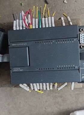 国产亿维pLC124一2CD23一0XB0 加模块uN1