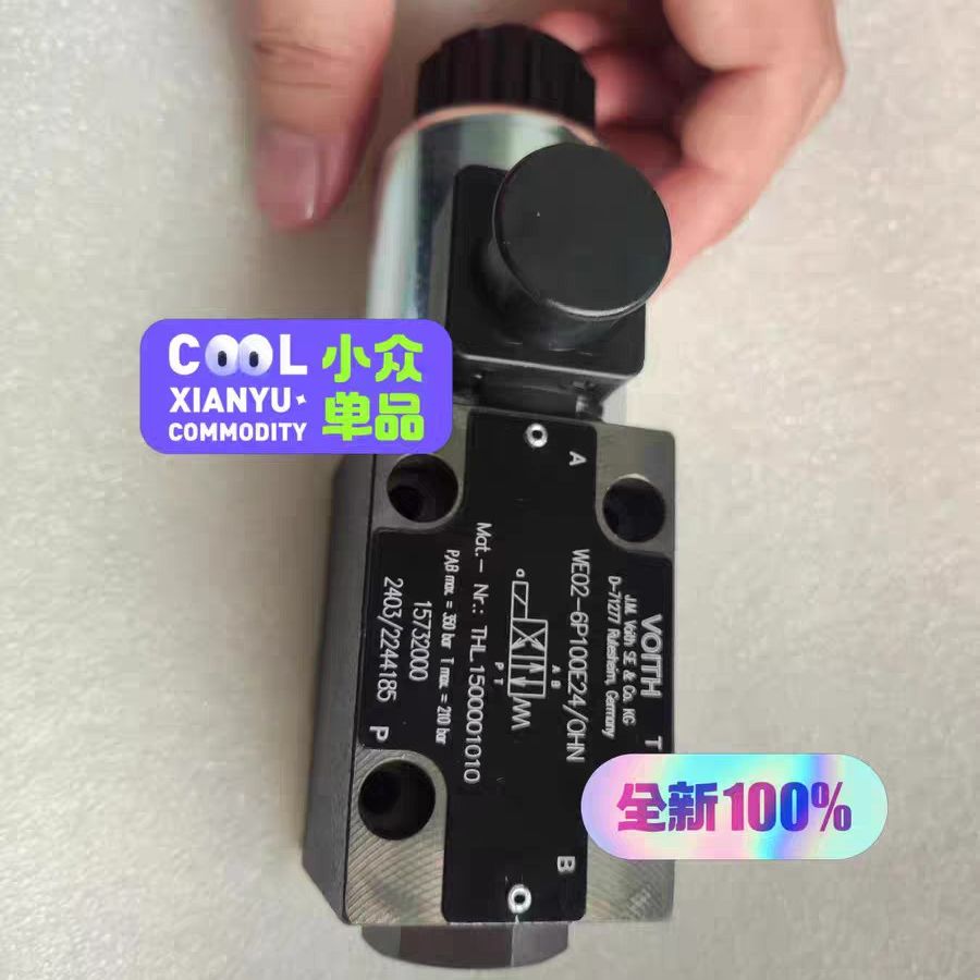 WE02-6P100E24/0HN 德国H+L Hyarau