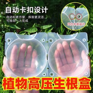 植物高压嫁接盒子自动扣繁殖育苗生根神器插扦枝条高压盒移植育苗