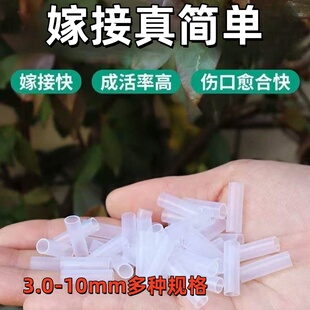 简便易成活透光好疏菜育苗嫁接专用管树苗盆栽枝条切口连接软胶管