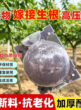 植物高压嫁接盒生根器