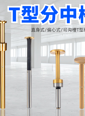 偏心式T型分中棒T形槽测头D30 D20 D17直身加长镀钛无磁寻边器